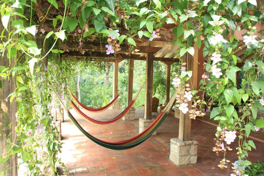 La Villa De Soledad La Ceiba Zewnętrze zdjęcie